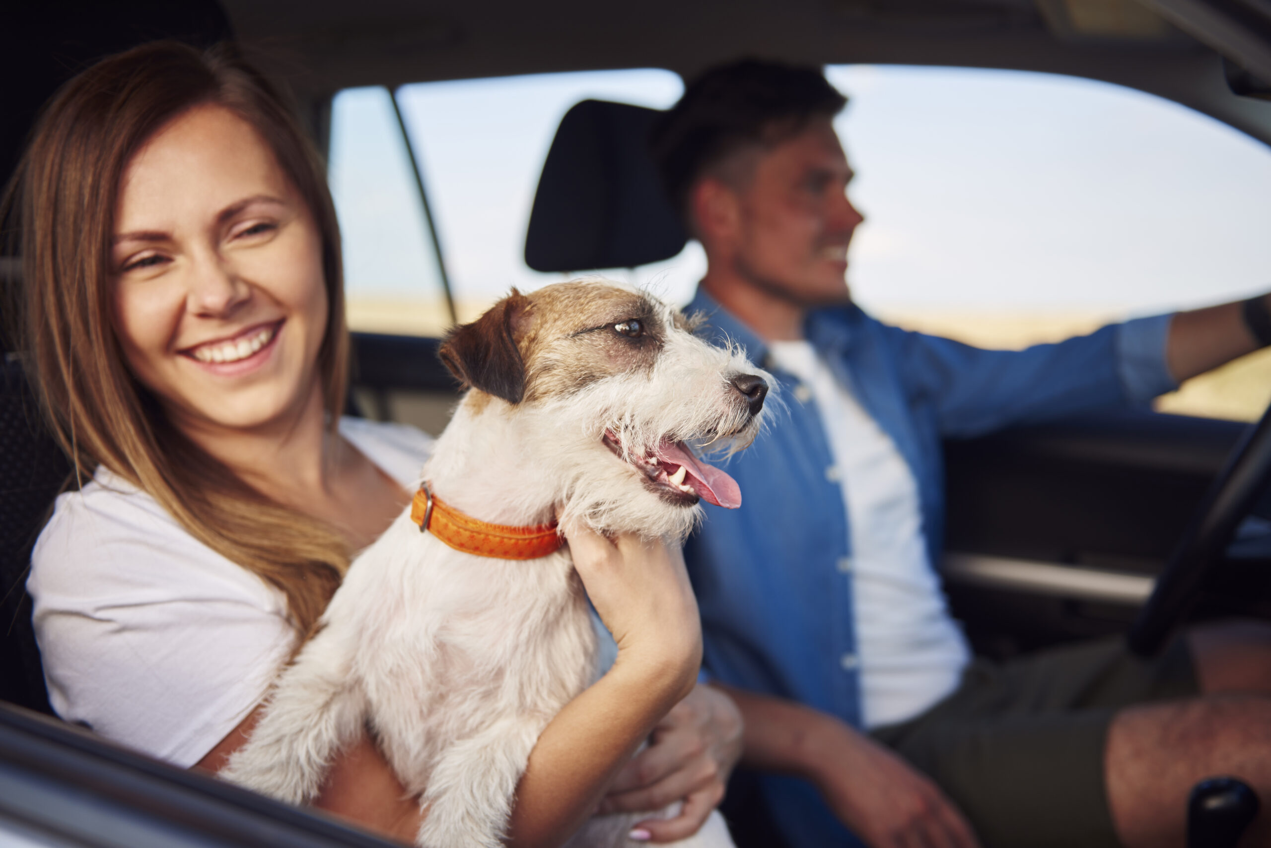 viajar con tu mascota