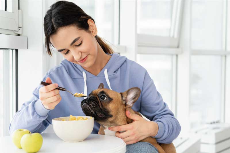 Nutrición-para-mascotas-​