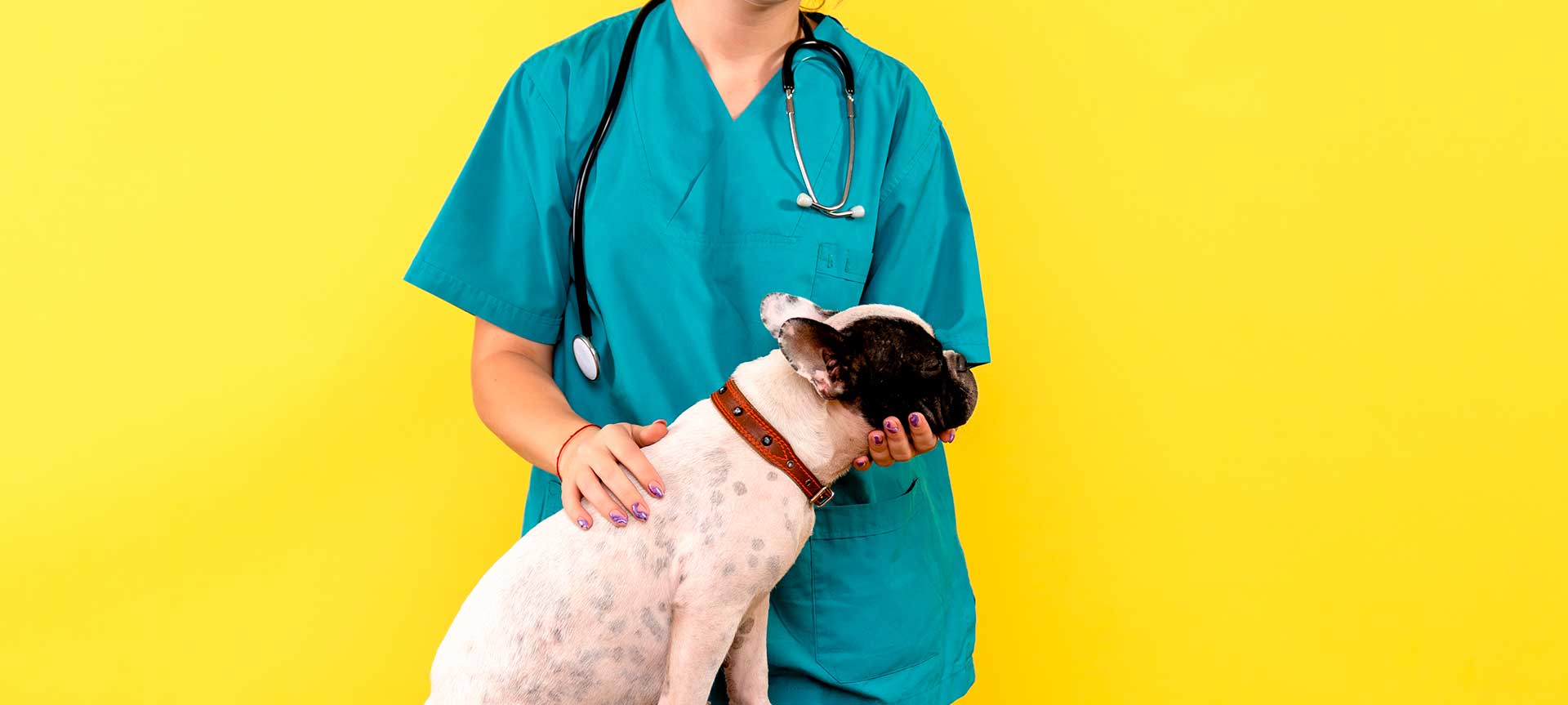 preguntas que más reciben los veterinarios