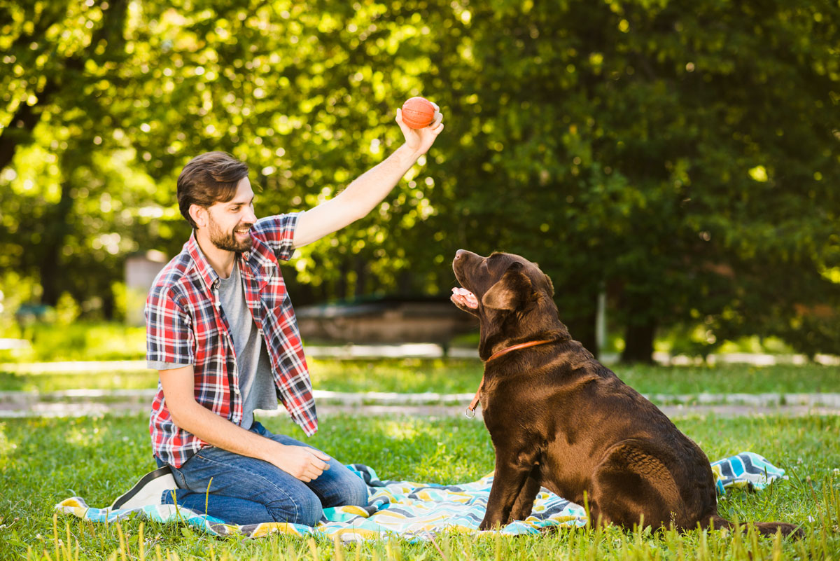 ejercitar a mi perro sin lastimarlo